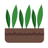 indoor gardening icon