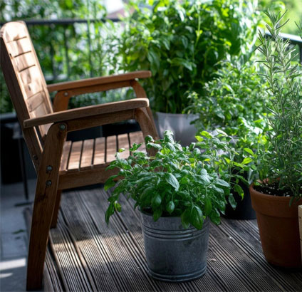 balcony herb garden