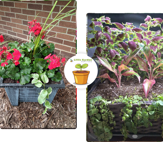 indoor and outdoor garden