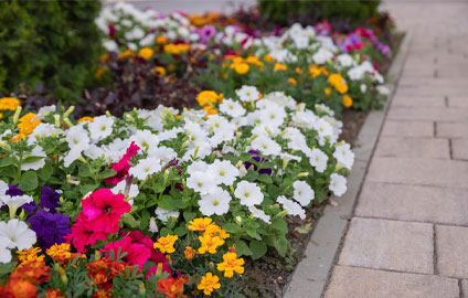 flower bed along sidewalk