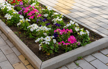 flower bed in sidewalk