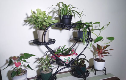 indoor garden stand