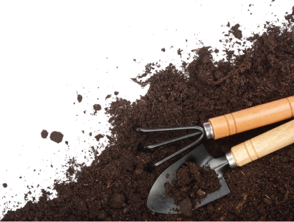 background garden image